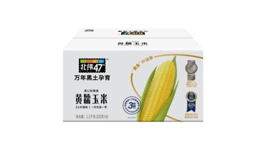 【盼盼专属】北纬47°黄糯玉米200g*6穗 商品图0