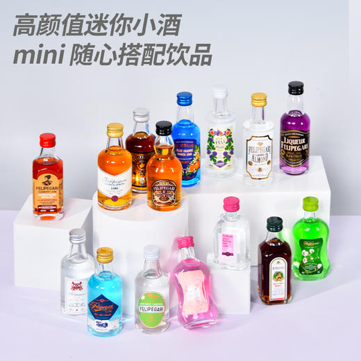 菲利佰加·白兰地威士忌伏特加网红洋酒小酒版18支组合套装 商品图4