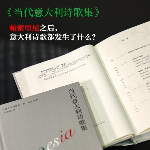 当代意大利诗歌集  意大利诗人、汉学家德陆法编选，选取代意大利30位诗人的代表性短诗作品，收录如雷佐·帕里斯、阿尔达·梅里尼等诗歌作品 商品图2