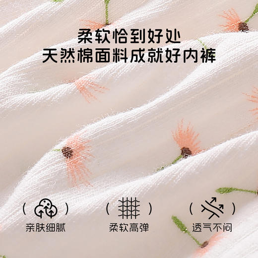 【5条装】10A抑菌甜美蕾丝少女内裤女纯棉透气高弹不勒不夹臀N5612蒲公英印花内裤 商品图3