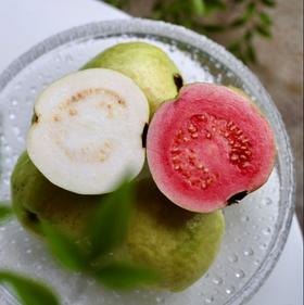 【奶油芭乐】长在树上的布丁  高颜值小清新  芭乐 甜柔糯‬滑