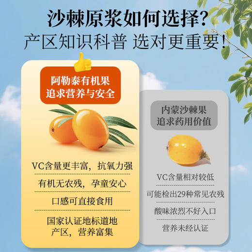 神农金康 有机沙棘原浆500ml 沙棘汁 鲜榨果汁阿勒泰原产原浆高VC原液饮料 商品图5