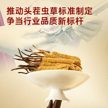 阿依舍冬虫夏草约3-4根/g20克约66根新干虫草礼盒送长辈补品礼品营养品 /传统滋补 /滋补贵细 /冬虫夏草 商品图1