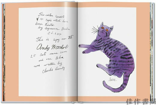 Andy Warhol: Seven Illustrated Books 1952–1959 / 安迪·沃霍尔：七本插画书 1952–1959/Taschen XL系列 商品图3
