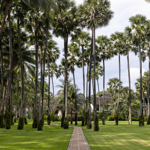【普吉岛ClubMed度假村】一价全包，超丰富的特色活动、每日三餐、酒水畅饮，还有专业G.O帮你带娃！ 商品图2