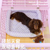 zeze简约树脂宠物笼（粉色）（包邮） 商品缩略图1