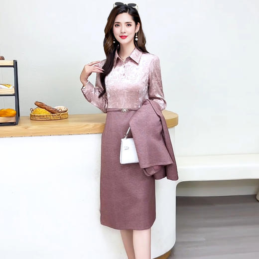 POLO领两件套连衣裙，气质通勤轻熟风连衣裙QYM-YJ25B268 商品图3