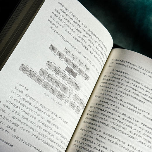 从0到1 新校长如何破茧成蝶 仇虹豪 新手校长100个问题答案之书 学校规划 教师干部管理 商品图12