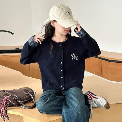 宸之昊女童毛衣2025新款春秋款儿童洋气针织衫中大童装女孩秋季打底上衣★ 商品图1