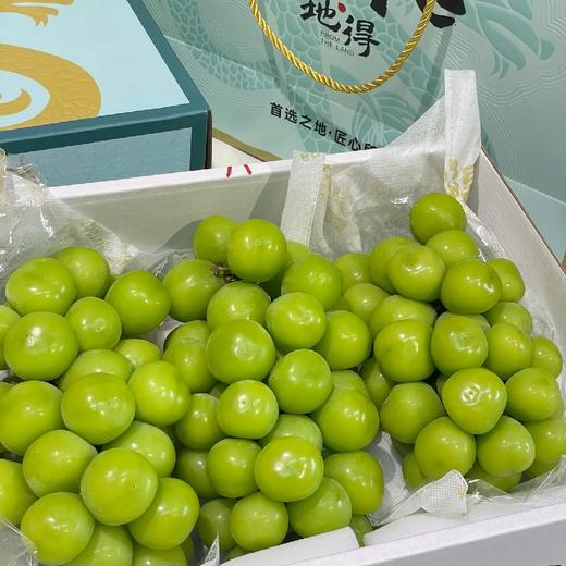 地得晴王【件】 商品图0