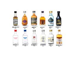 菲利佰加·白兰地威士忌伏特加网红洋酒小酒版12支组合套装