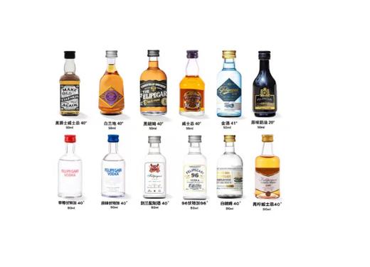 菲利佰加·白兰地威士忌伏特加网红洋酒小酒版12支组合套装 商品图0