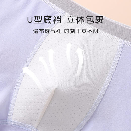 【4条装】95%棉可爱懒懒熊男童发育期印花平角内裤男柔软舒适2286懒懒熊男童内裤 商品图4