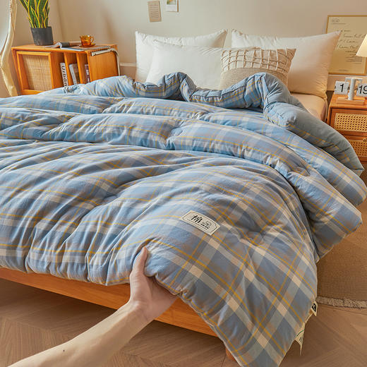 【品牌直发】加倍生活 A类无印风新疆棉花被 真棉花、带检测口 春秋被/冬被/加厚冬被 1.5m/2.0m/2.2m被芯 商品图3