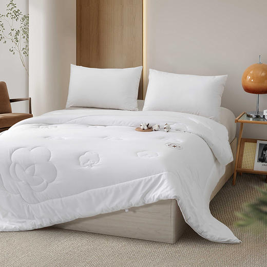 多喜爱 朗旭舒爽棉花被/冬被【里外全棉】【脱脂工艺】【8道除杂】【精美提花】【加厚磨绒】【A类标准】100%全棉新疆棉花被 商品图5