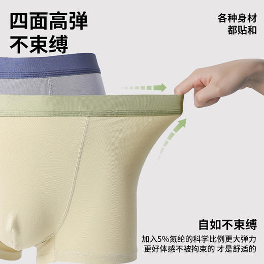 纯棉男士内裤男式中腰无痕平角裤7A抑菌裆夏吸汗透气男生四角短裤 商品图2