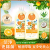 城市气息橙光橘色果蔬餐具净 商品缩略图0
