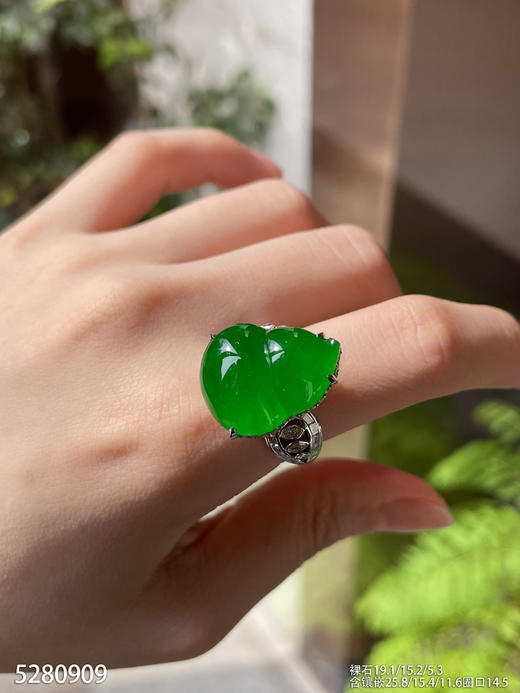 高冰种帝王绿葫芦吊坠戒指两用款【5280909】具体价格微信咨询 商品图3