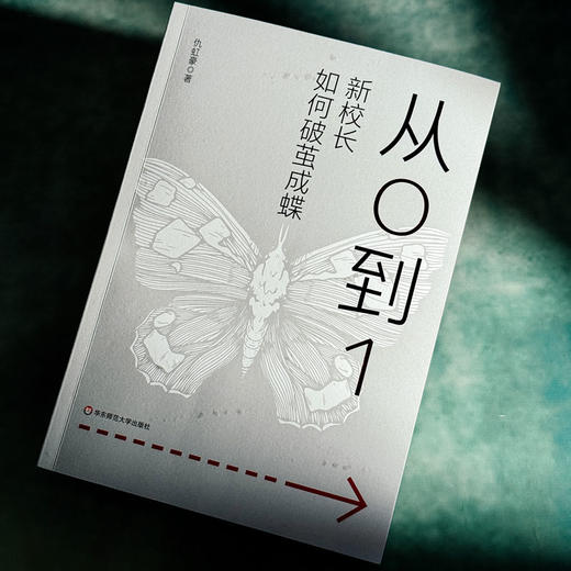 从0到1 新校长如何破茧成蝶 仇虹豪 新手校长100个问题答案之书 学校规划 教师干部管理 商品图4
