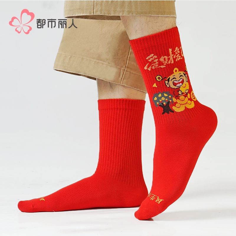 都市丽人袜子男士袜子精梳棉男袜子男士中筒袜FCHDF6