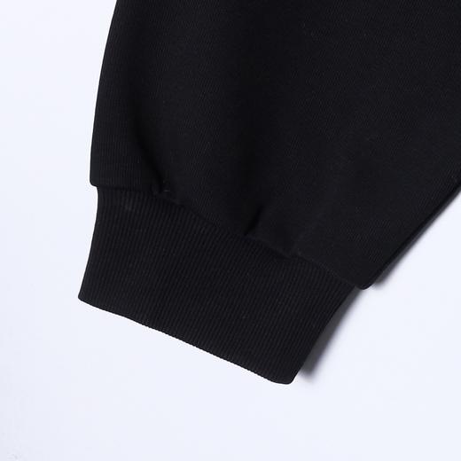 31013SDSA男士秋冬新款痞帅男装潮牌纯色按扣翻领卫衣压线设计简约时尚 商品图4