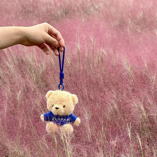 华科大毛绒卫衣纪念小熊 商品图4