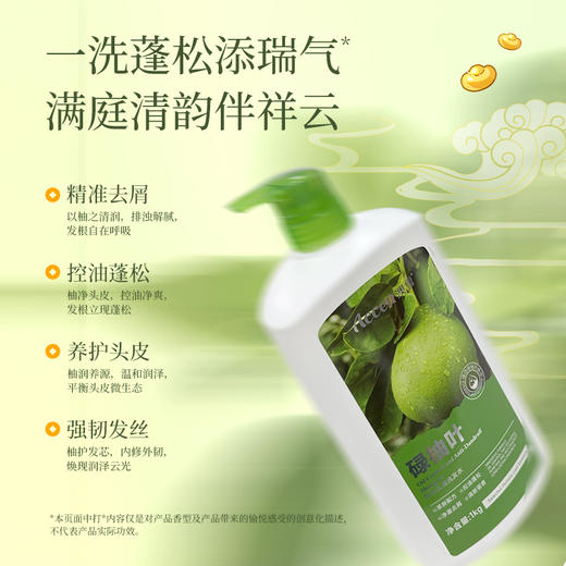 澳雪碌柚叶控油去屑洗发水1kg*2瓶装 商品图2