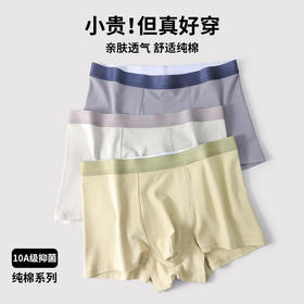 纯棉男士内裤男式中腰无痕平角裤7A抑菌裆夏吸汗透气男生四角短裤