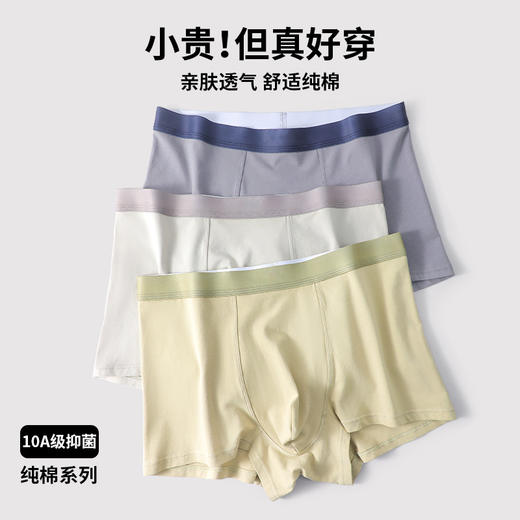 纯棉男士内裤男式中腰无痕平角裤7A抑菌裆夏吸汗透气男生四角短裤 商品图0