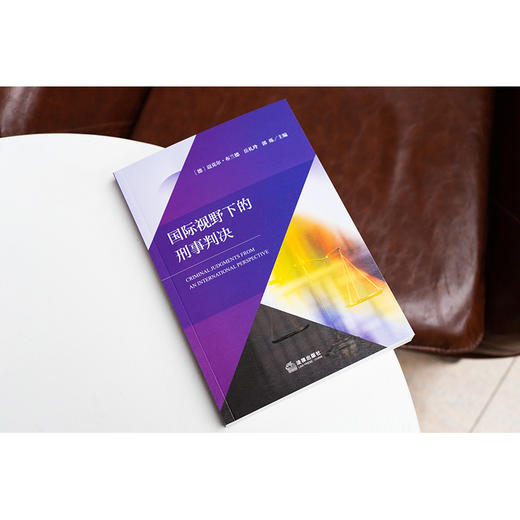 国际视野下的刑事判决 [德]迈克尔·布兰德 岳礼玲 郭烁主编 法律出版社 商品图2