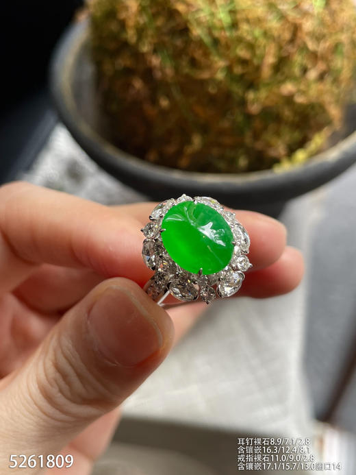 5261809，蛋面套装。具体价格微信咨询 商品图3