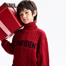 男童高翻领长袖针织衫冬季新款安奈儿童装EB544649