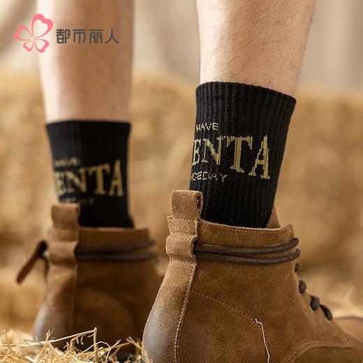 都市丽人袜子男士袜子精梳棉男袜子男士中筒袜2双1组FCHDF2 商品图0