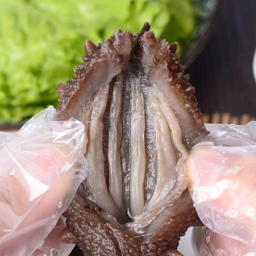 大海主义德仁堂兄妹海参海参8头 商品图3