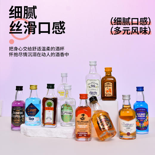 菲利佰加·白兰地威士忌伏特加网红洋酒小酒版29支组合套装 商品图1