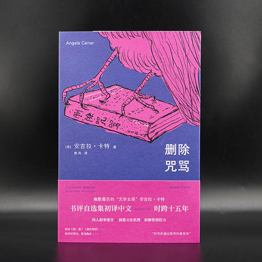 删除咒骂 （守望者·镜与灯） [英] 安吉拉·卡特 著 晓风 译 商品图1