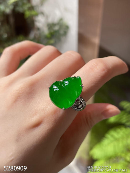 高冰种帝王绿葫芦吊坠戒指两用款【5280909】具体价格微信咨询 商品图5