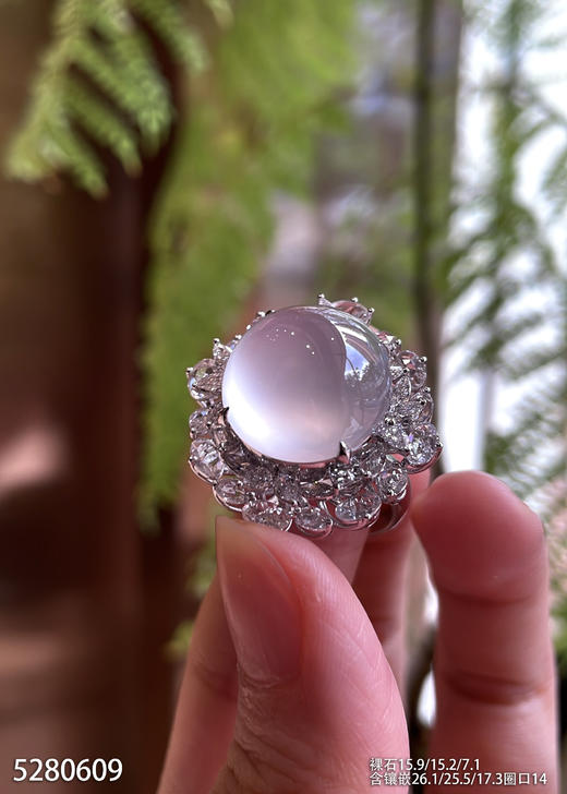 玻璃种蛋面戒指【5280609】具体价格微信咨询 商品图3