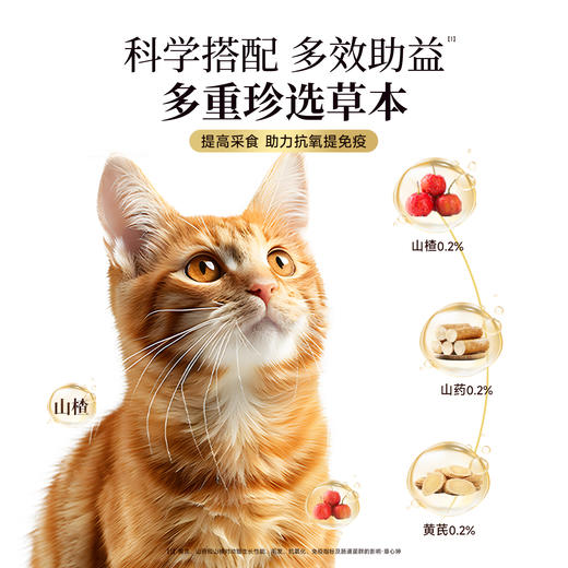 【福喵多肉粮】宽福 高鲜肉猫粮 三重肉源助长肉 三重珍选草本助益提高免疫 添加乳铁蛋白 三重益生元助益肠道吸收 商品图3