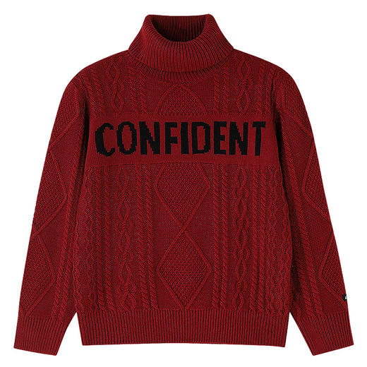 男童高翻领长袖针织衫冬季新款安奈儿童装EB544649 商品图6