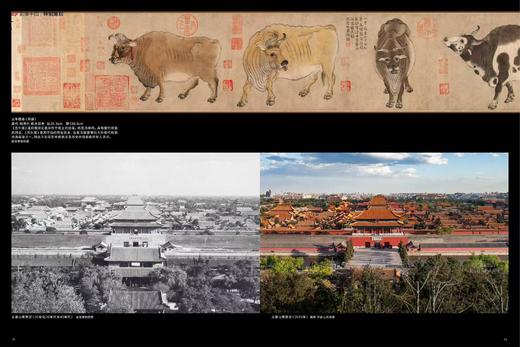 故宫博物院建院100周年特辑（RMHBS) 商品图5