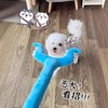 超耐咬【不伤宠物！逗狗棒逗猫棒】狗狗毛绒玩具讨伐棒插狗棒耐咬比熊泰迪逗狗棒宠物解闷逗狗神器。ha 商品缩略图1