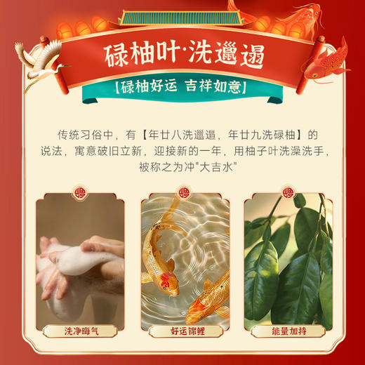 澳雪碌柚叶舒爽洗手液650ml*2 商品图3