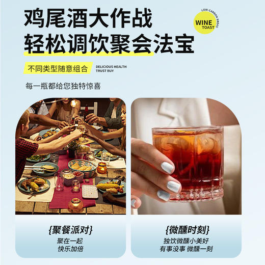 菲利佰加·白兰地威士忌伏特加网红洋酒小酒版12支组合套装 商品图4