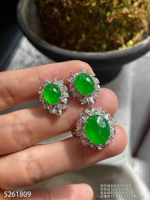 5261809，蛋面套装。具体价格微信咨询 商品图1