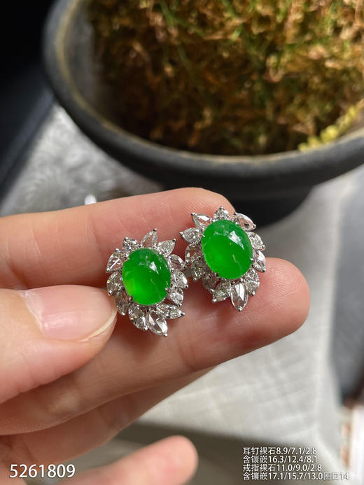 5261809，蛋面套装。具体价格微信咨询 商品图5