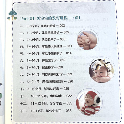 养育男孩私房书 商品图3