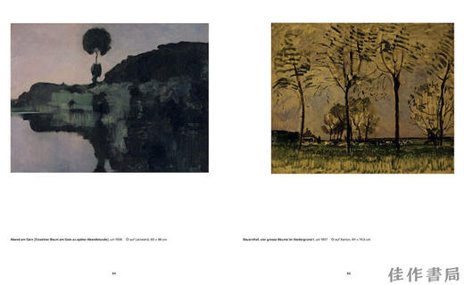 Mondrian Evolution / 蒙德里安的演进：从写实到纯粹的旅程 商品图2