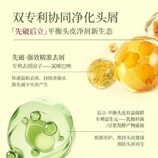 澳雪碌柚叶控油去屑洗发水1kg*2瓶装 商品图5