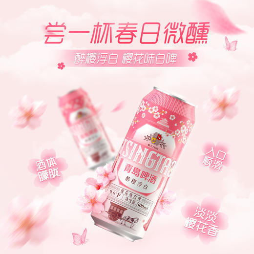青岛啤酒樱花味白啤 500ml*12听 商品图0
